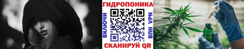 Шишки марихуана гибрид Поронайск